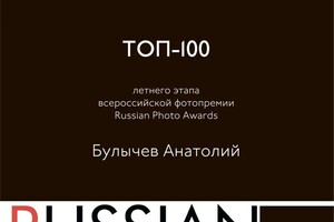 Диплом / сертификат №2 — Булычев Анатолий Александрович