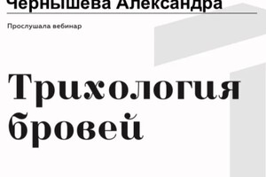 Диплом / сертификат №3 — Чернышева Александра Сергеевна