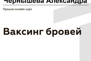 Диплом / сертификат №6 — Чернышева Александра Сергеевна