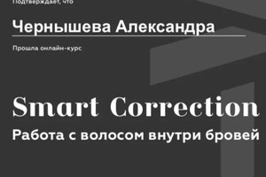 Диплом / сертификат №8 — Чернышева Александра Сергеевна