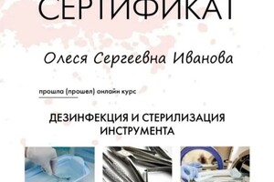 Диплом / сертификат №17 — Иванова Олеся Сергеевна