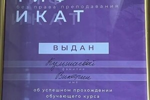 Диплом / сертификат №14 — Кульшаева Виктория Владимировна