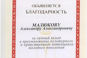 Диплом / сертификат №3 — Малюков Александр Александрович