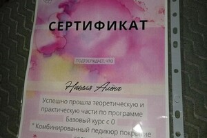 Диплом / сертификат №1 — Ницеля Алёна Станиславовна