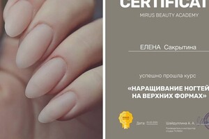 Диплом / сертификат №1 — Сакрытина Елена Евгеньевна