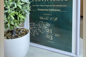 Диплом / сертификат №2 — Барашкова Екатерина Михайловна