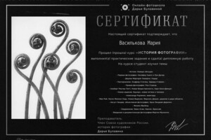 Диплом / сертификат №1 — Василькова Мария Михайловна