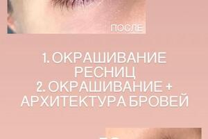 Окрашивание ресниц; Окрашивание + Архитектура бровей — Анатольевна Татьяна Анатольевна