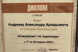 Диплом / сертификат №22 — Андреев Александр Аркадьевич