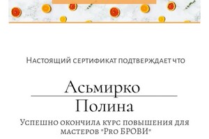 Диплом / сертификат №3 — Асьмирко Полина Эдуардовна