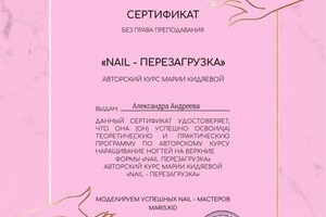 Диплом / сертификат №13 — Бабушкина Александра Юрьевна