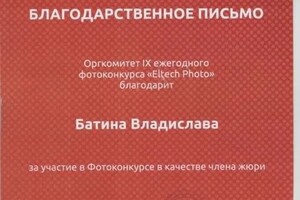 Диплом / сертификат №2 — Батин Владислав Валерьевич