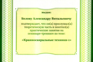 Сертификат о прохождении курса — Белов Александр Витальевич