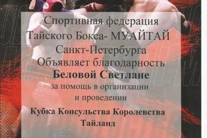 Диплом / сертификат №8 — Белова Светлана Витальевна