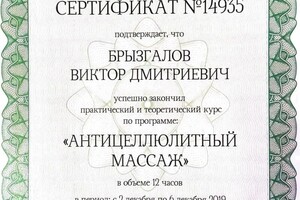 Диплом / сертификат №6 — Брызгалов Виктор Дмитриевич