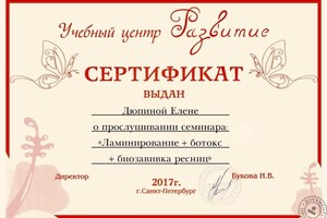 Диплом / сертификат №4 — Дюпина Елена Викторовна