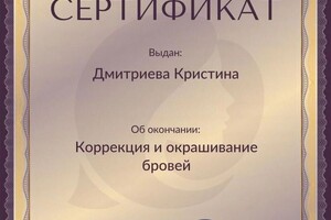 Диплом / сертификат №4 — Дмитриева Кристина Игоревна