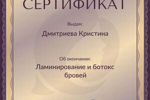 Диплом / сертификат №5 — Дмитриева Кристина Игоревна