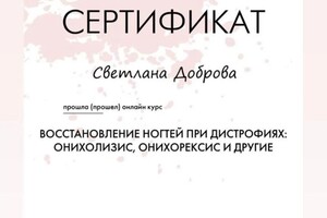 Диплом / сертификат №16 — Доброва Светлана Валерьевна