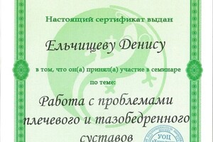 Диплом / сертификат №6 — Ельчищев Денис Геннадьевич