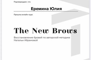 Диплом / сертификат №13 — Еремина Юлия Александровна