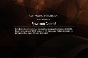 Диплом / сертификат №4 — Ермаков Сергей Петрович