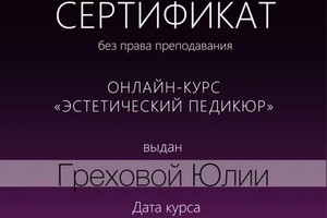 Диплом / сертификат №43 — Грехова Юлия Олеговна