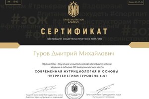 Диплом / сертификат №2 — Гуров Дмитрий Михайлович