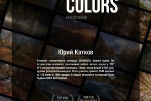 Диплом / сертификат №8 — Катков Юрий Николаевич