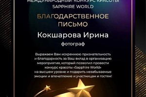 Диплом / сертификат №1 — Кокшарова Ирина Николаевна