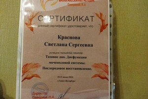 Диплом / сертификат №13 — Краснова Светлана Сергеевна