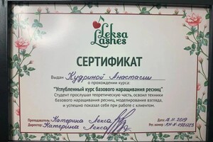 Диплом / сертификат №3 — Кудрина Анастасия Сергеевна