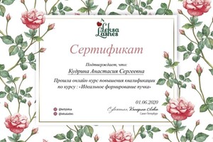 Диплом / сертификат №5 — Кудрина Анастасия Сергеевна