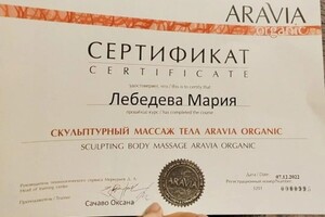 Диплом / сертификат №15 — Лебедева Мария Сергеевна