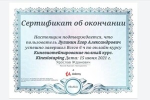 Диплом / сертификат №4 — Лугинин Егор Александрович