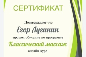 Диплом / сертификат №9 — Лугинин Егор Александрович