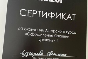 Диплом / сертификат №2 — Лузгарева Светлана Валерьевна