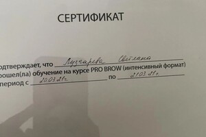 Диплом / сертификат №3 — Лузгарева Светлана Валерьевна