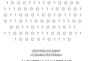 Диплом / сертификат №1 — Макаренко Алексей Олегович