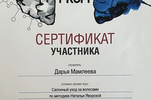 Диплом / сертификат №13 — Мамлеева Дарья Николаевна