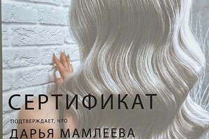 Диплом / сертификат №17 — Мамлеева Дарья Николаевна