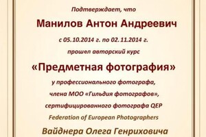 Диплом / сертификат №4 — Манилов Антон Андреевич