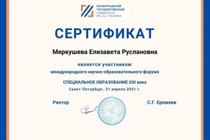 Диплом / сертификат №3 — Меркушева Елизавета Руслановна