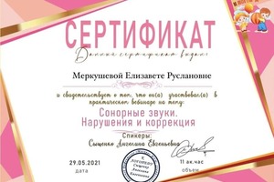 Диплом / сертификат №4 — Меркушева Елизавета Руслановна