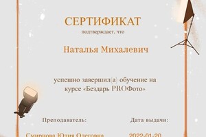 Диплом / сертификат №3 — Михалевич Наталья Игоревна