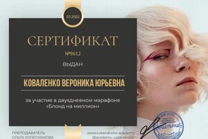 Диплом / сертификат №4 — Николаева Вероника Юрьевна