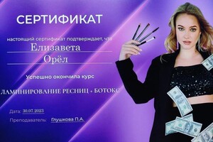 Диплом / сертификат №11 — Орёл Елизавета Владиславовна