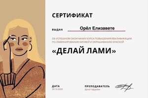 Диплом / сертификат №8 — Орёл Елизавета Владиславовна