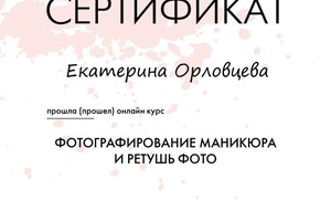 Диплом / сертификат №4 — Орловцева Екатерина Николаевна