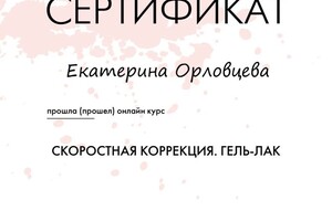 Диплом / сертификат №5 — Орловцева Екатерина Николаевна